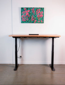 Wooden Sit-Stand E Desk - Custom Desk