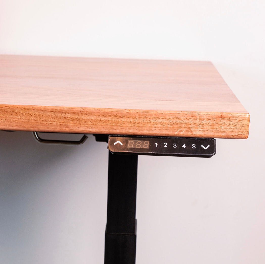 Wooden Sit-Stand E Desk - Custom Desk